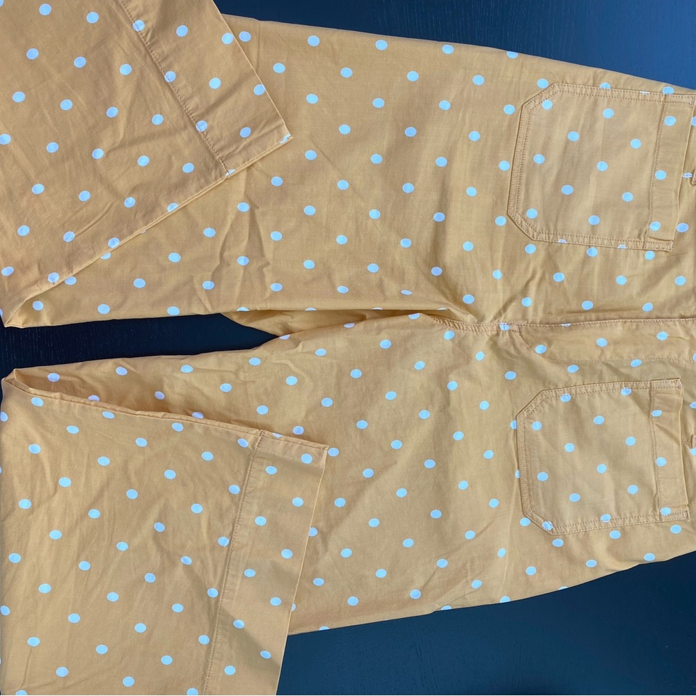 Anthropologie Maeve Polka Dot Pants